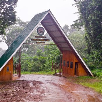 19374381721_08b2e23f67_k (6)