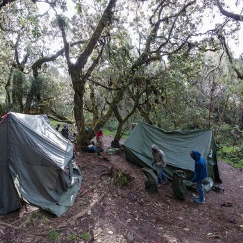 41801824482_5220242643_k