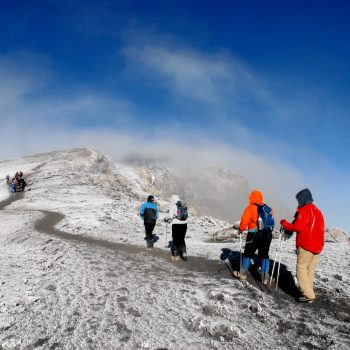 52d77bb39233f74a6c27a75f9461eba9-scaled