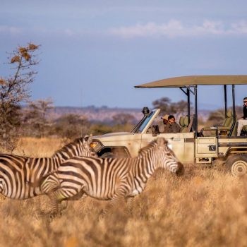 Game-Drives-in-Selous-Game-Reserve