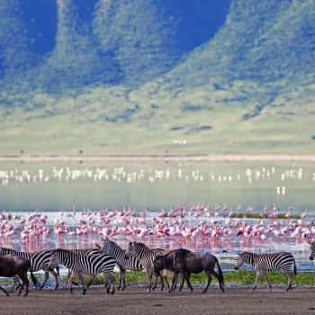 GettyImages-177429980-2ac0c7444c914b5552fd65155236b4c4