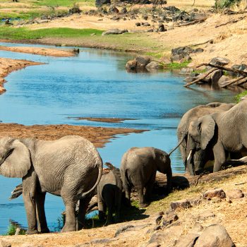Ruaha-national-park (1)