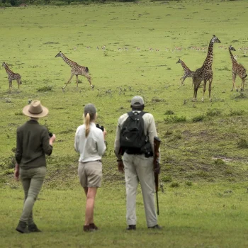 Walking-safari-Arusha-National-Park