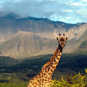 arusha_-np-1920x1280-1920x1080 (3)