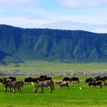 c4657c85af75dc59b2fed7bf0f7dfa13 (3)