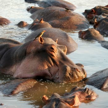 ebe92838532d4ed29e0b8f77c9e2ecb7 (3)