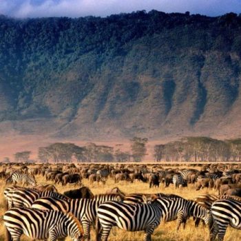 methode_sundaytimes_prod_web_bin_ec3ebb3a-30d9-11e7-aac4-1ba2dd1bdb9f-750x450 (1)