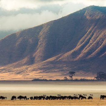 ngorongoro-crater-2