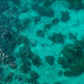 stand-up-padel-bawe-island-zanzibar-tanzania